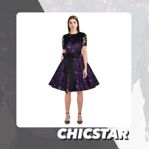 EUC Chicstar Lace Bust Retro Dress